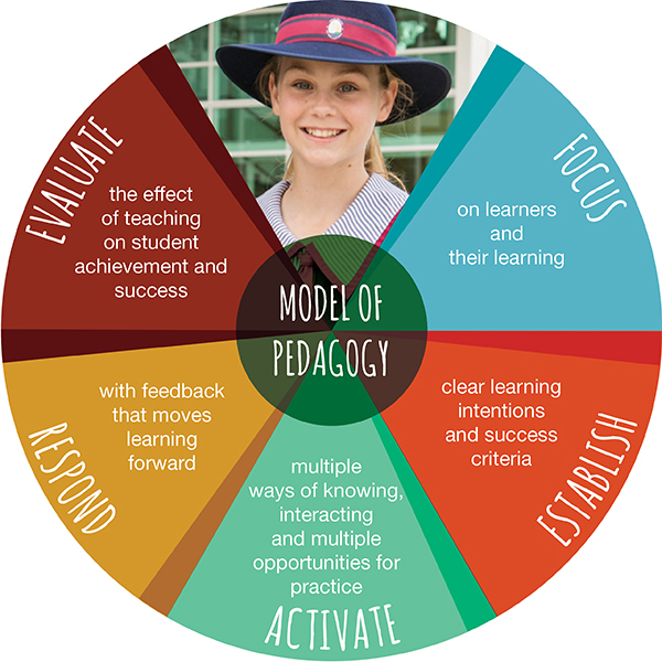 Model of pedagogy graphic featuring focus establish activate respond and evaluate to guide effective teaching and support student learning outcomes
